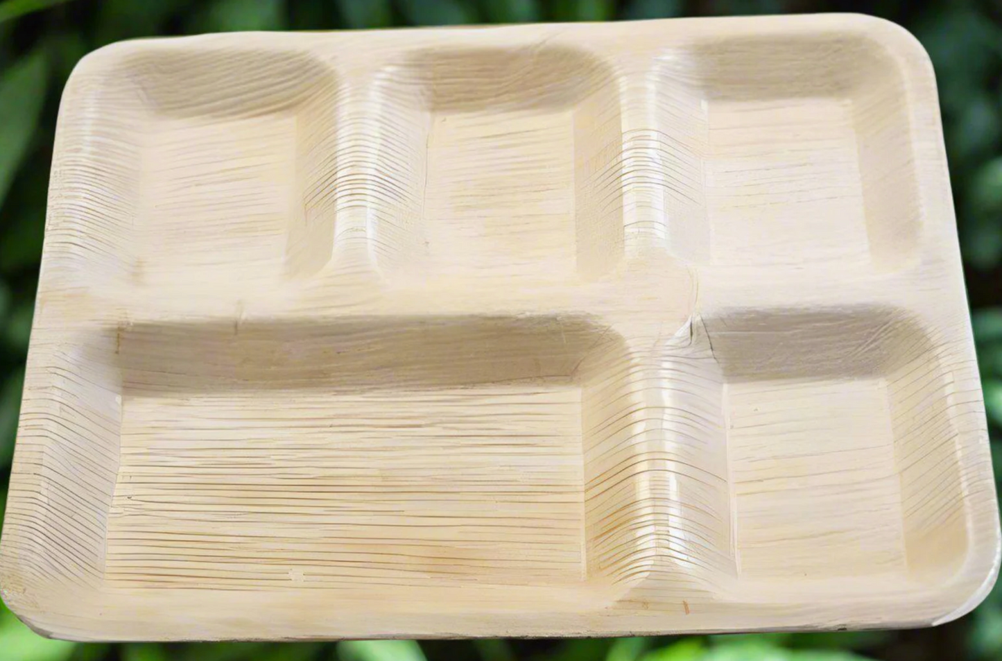 10X12 Areca 5 CP Plate 100 Pack